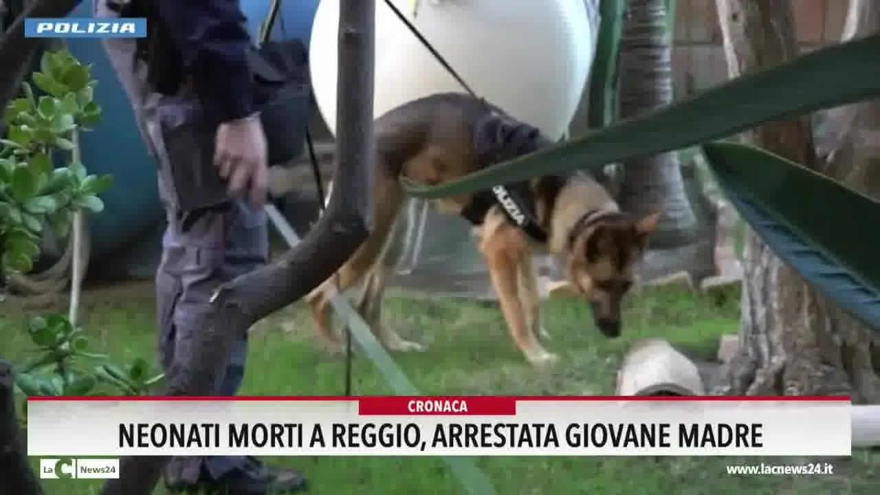 Neonati morti a Reggio, arrestata giovane madre