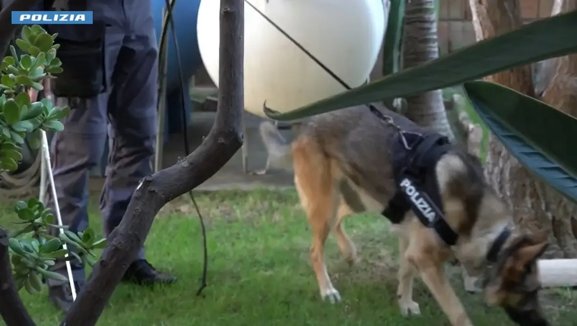 Due neonati morti trovati in un armadio a Reggio, arrestata la giovane mamma: è accusata di averli uccisi