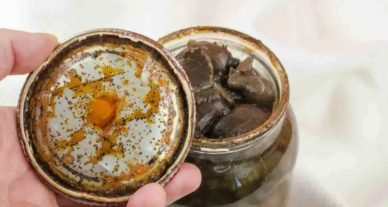 Botulino, funghi killer preparati in Calabria: un uomo intossicato e allerta in tre regioni
