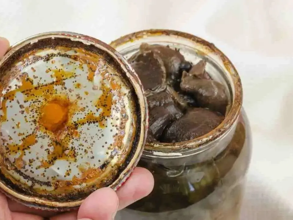 Botulino, funghi killer preparati in Calabria: un uomo intossicato e allerta in tre regioni