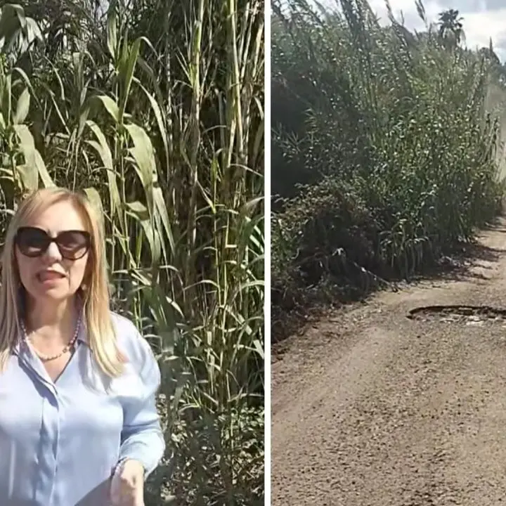 Gioia Tauro, la strada di Pontevecchio è «una trincea». Scarcella: «Chiamerò ai danni la Città Metropolitana»\n