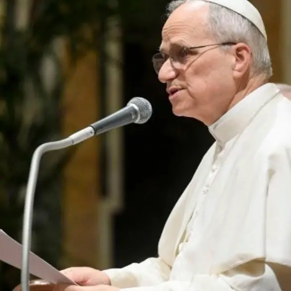 «Fare il giornalista non è mai un crimine»: l’appello di papa Leone XIV all’udienza Minds\n