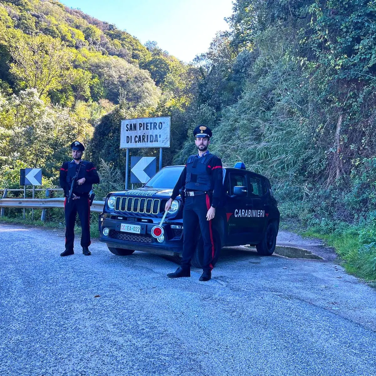 Scoperta e smantellata piantagione di marijuana\u00A0a San Pietro di Caridà: arrestate 4 persone\n