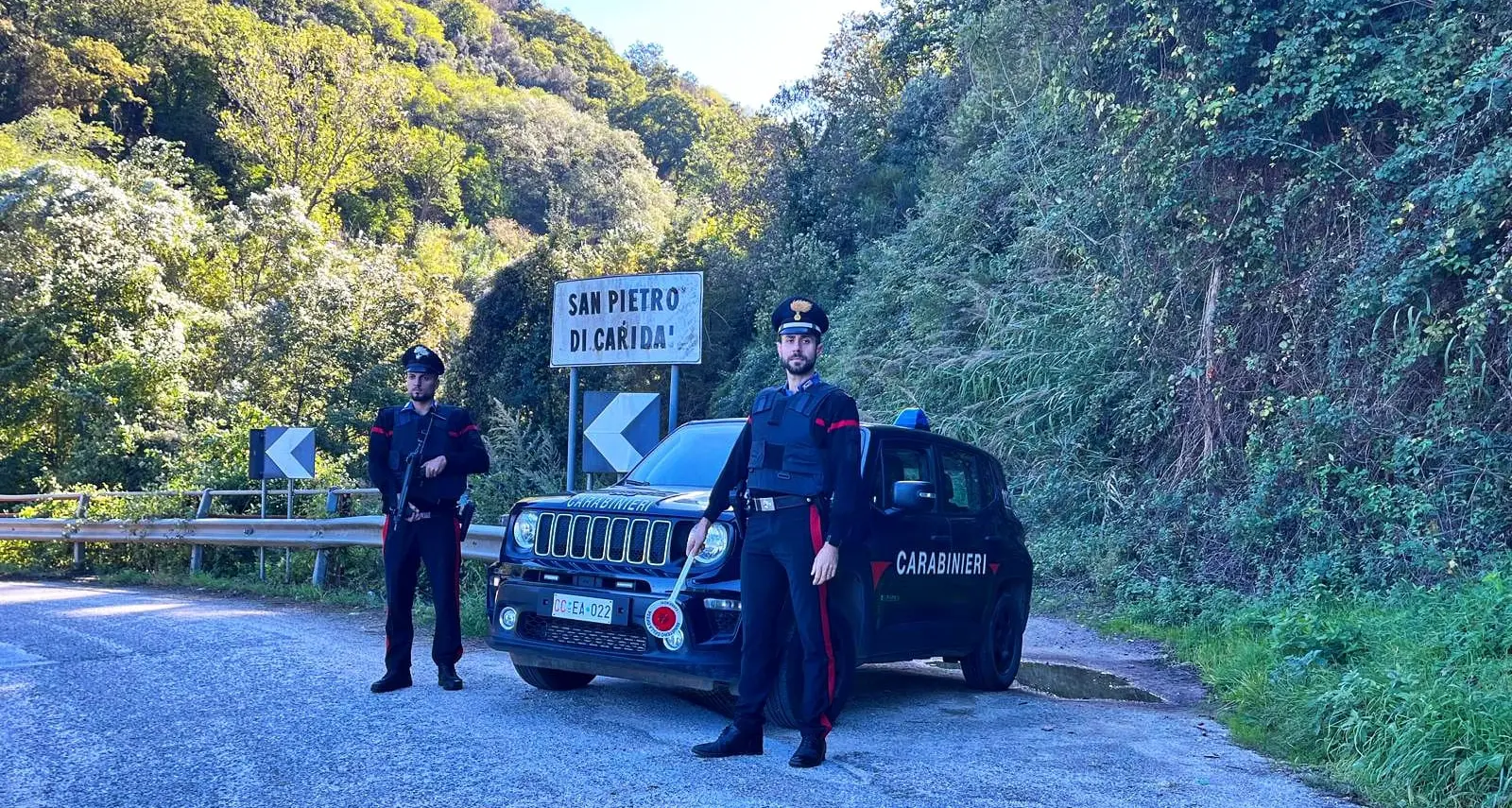 Scoperta e smantellata piantagione di marijuana\u00A0a San Pietro di Caridà: arrestate 4 persone\n
