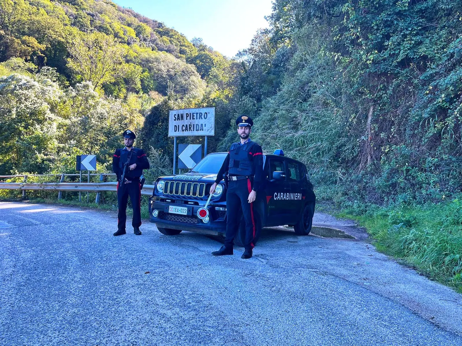 Scoperta e smantellata piantagione di marijuana\u00A0a San Pietro di Caridà: arrestate 4 persone\n