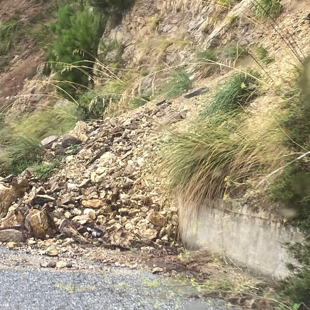 OIPA segnala le gravi condizioni della strada Armo–Santa Venere: «Serve un intervento urgente di messa in sicurezza»