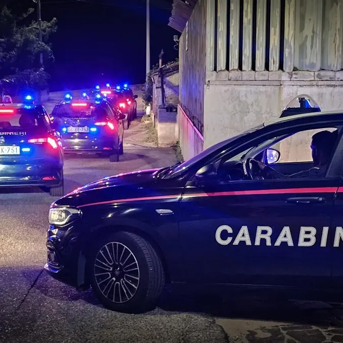'Ndrangheta, processo Eureka: oggi l'esecuzione di 23 misure cautelari in carcere - VIDEO