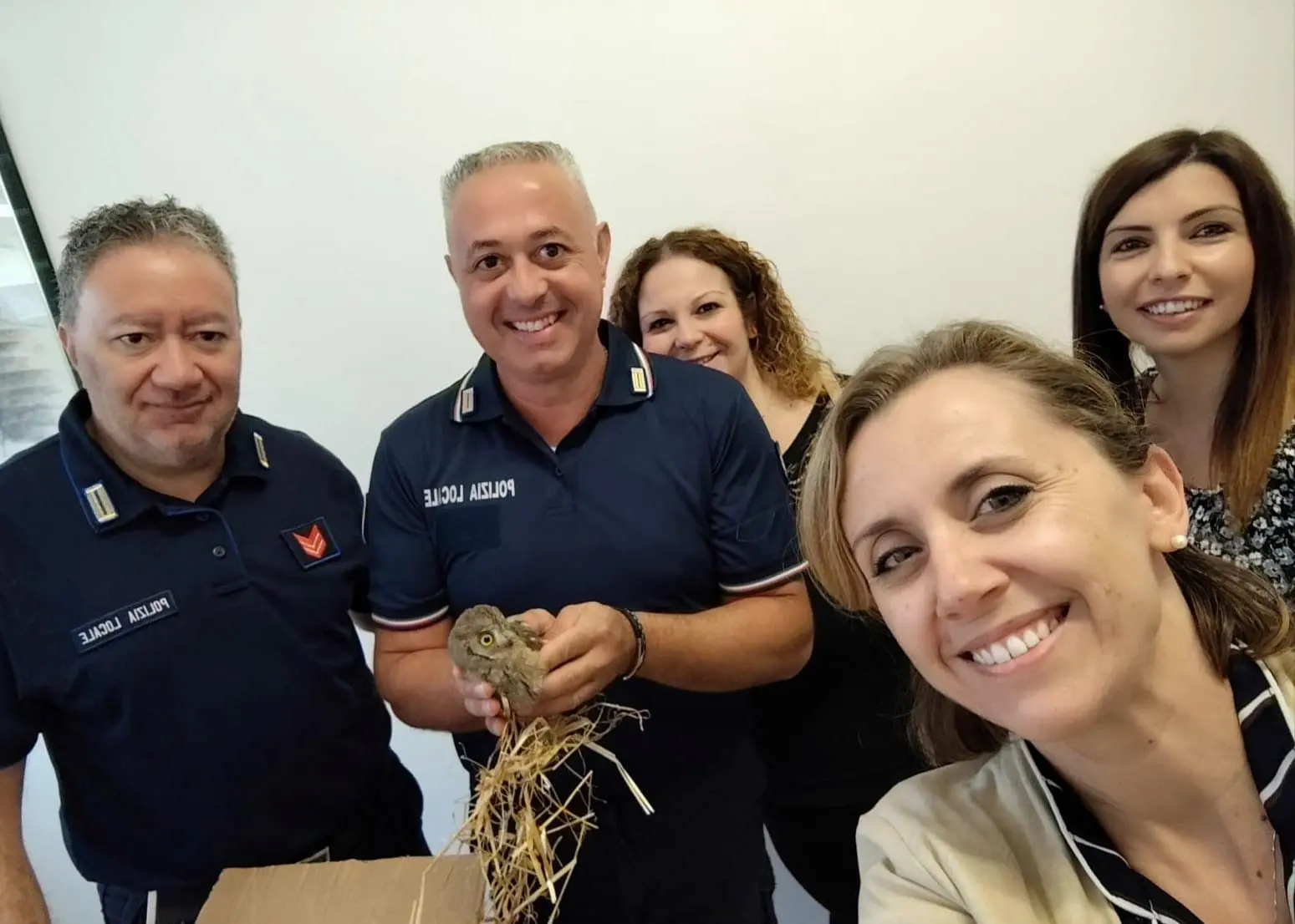 Marina di Gioiosa, un piccolo eroe alato torna libero: l'assiolo salvato dai bambini delle scuole