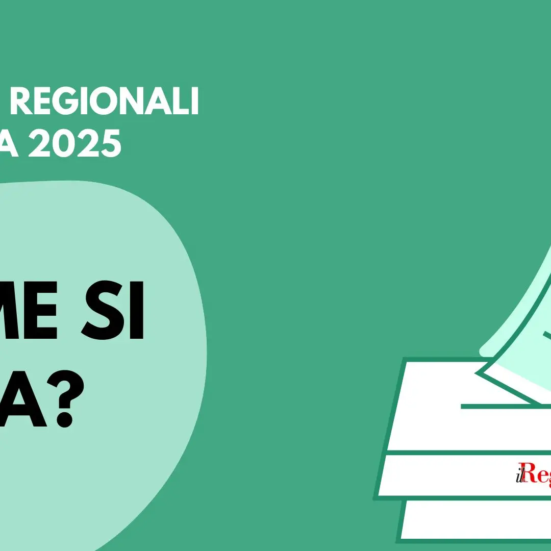 Elezioni regionali in Calabria, ecco come si vota: la guida semplice per non sbagliare - VIDEO