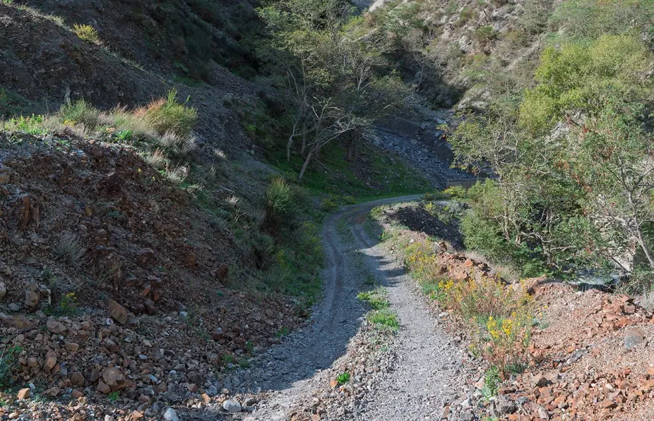 Viaggio lungo la Mulattera i Salincriti, l’antica via che collegava il borgo di Caulonia con Ragonà\n