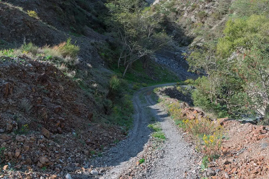 Viaggio lungo la Mulattera i Salincriti, l’antica via che collegava il borgo di Caulonia con Ragonà\n