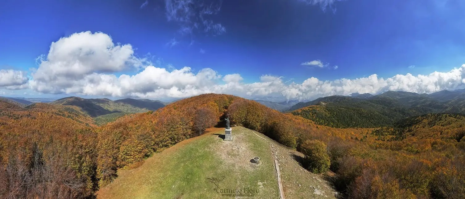 L’Aspromonte diventa un’aula a cielo aperto: il progetto dell’Ente Parco per i viaggi d’istruzione\n