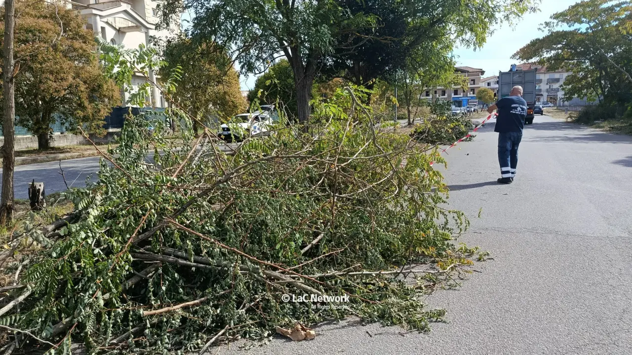 Zona industriale di Vibo, qualcosa si muove: operai al lavoro per rimuovere le sterpaglie. Ma i rifiuti restano