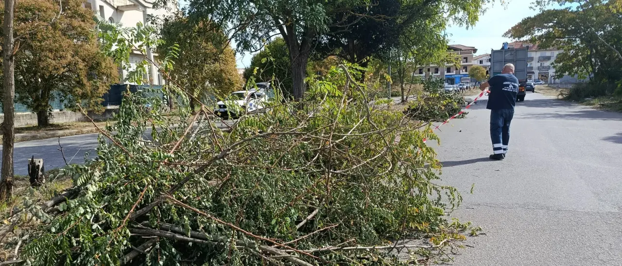 Zona industriale di Vibo, qualcosa si muove: operai al lavoro per rimuovere le sterpaglie. Ma i rifiuti restano