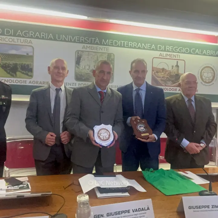 Reggio, il commissario di governo per i siti contaminati\u00A0Vadalà alla Mediterranea: «Ancora molto da fare in Calabria»\n
