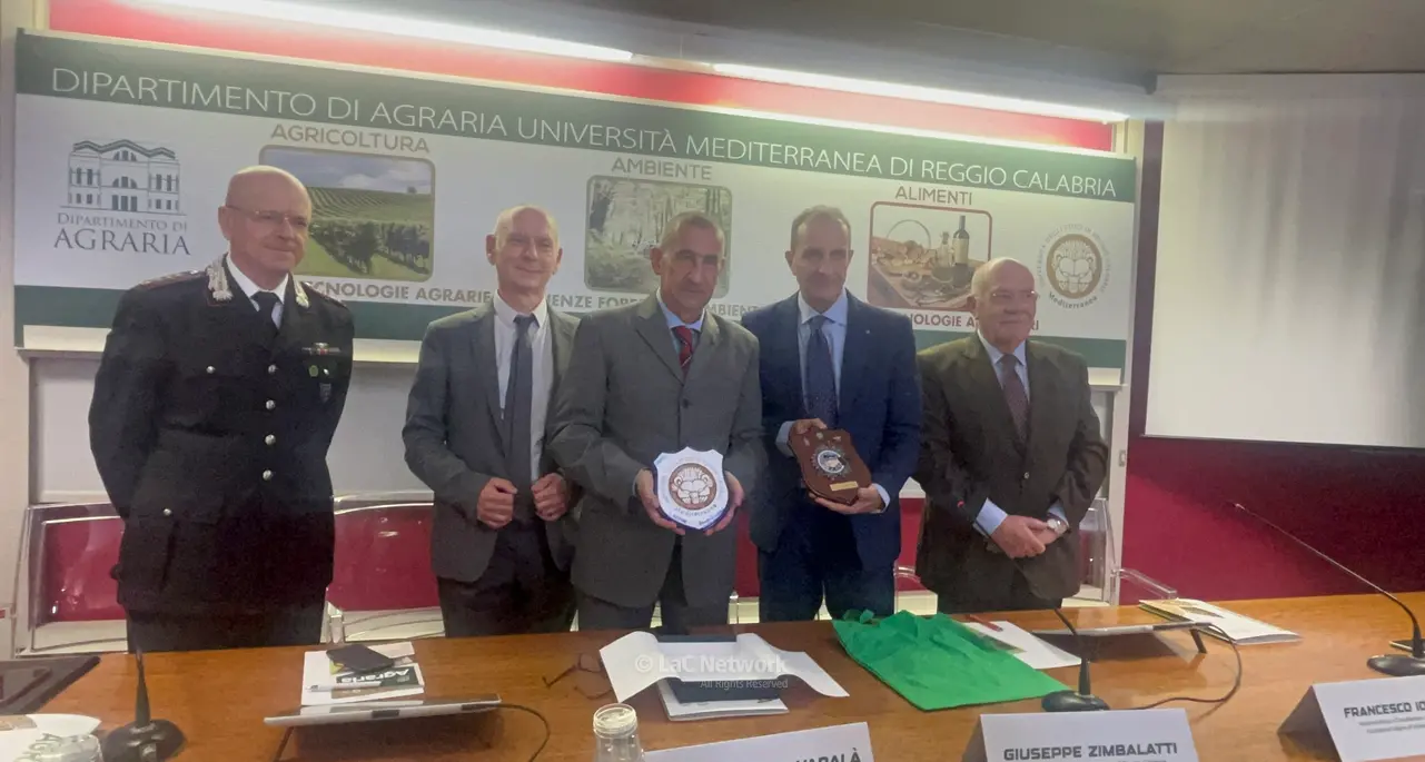 Reggio, il commissario di governo per i siti contaminati\u00A0Vadalà alla Mediterranea: «Ancora molto da fare in Calabria»\n
