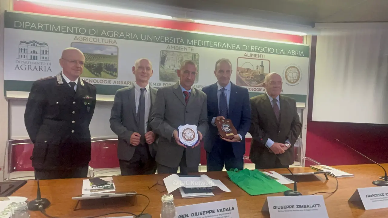 Reggio, il commissario di governo per i siti contaminati\u00A0Vadalà alla Mediterranea: «Ancora molto da fare in Calabria»\n