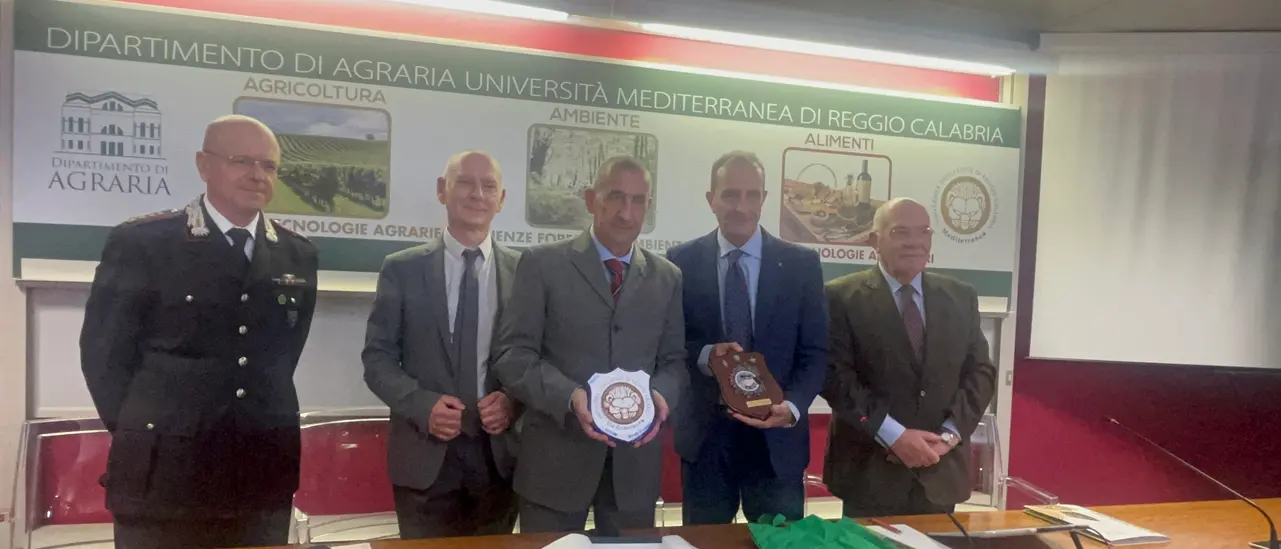 Reggio, il commissario di governo per i siti contaminati\u00A0Vadalà alla Mediterranea: «Ancora molto da fare in Calabria»\n