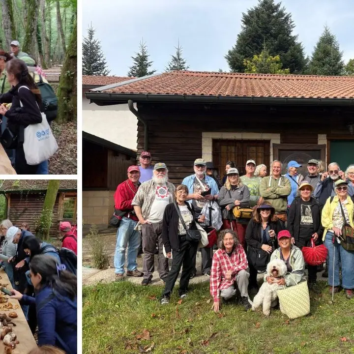 Micologi ed esperti dagli Stati Uniti ai boschi delle Serre per conoscere e studiare i funghi\n