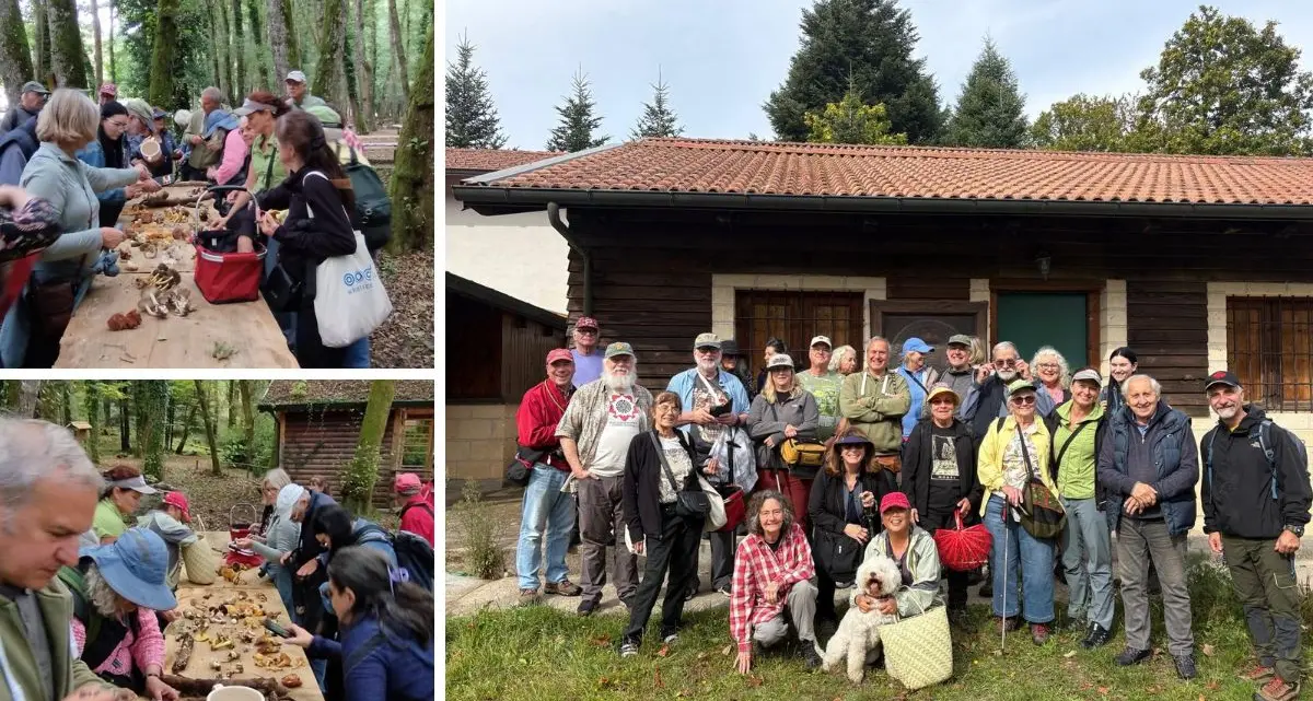 Micologi ed esperti dagli Stati Uniti ai boschi delle Serre per conoscere e studiare i funghi\n