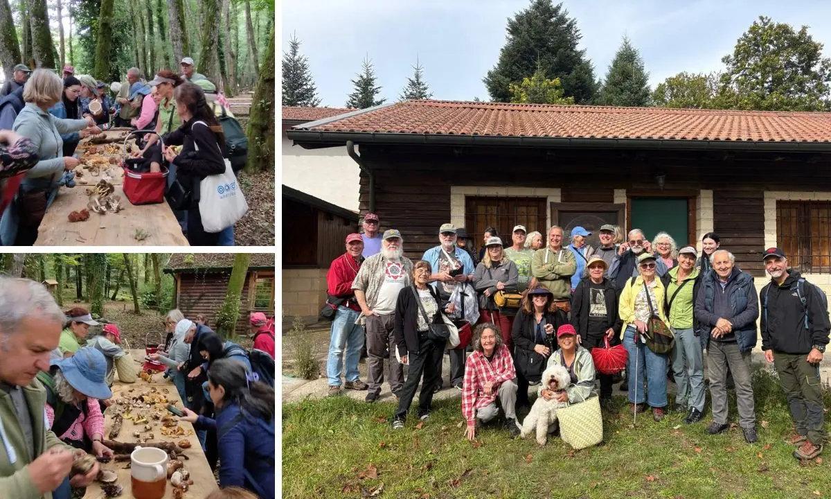 Micologi ed esperti dagli Stati Uniti ai boschi delle Serre per conoscere e studiare i funghi\n