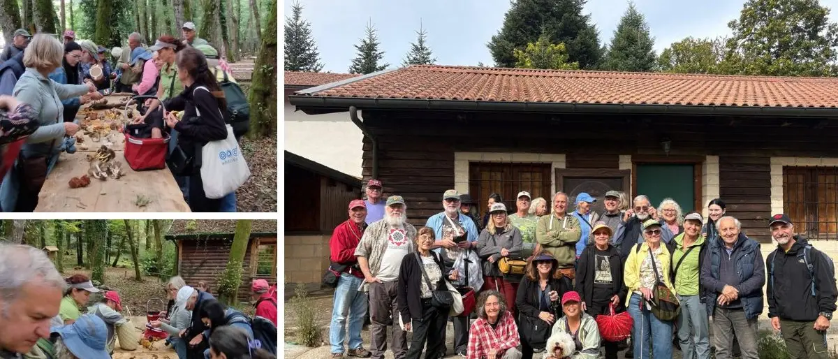 Micologi ed esperti dagli Stati Uniti ai boschi delle Serre per conoscere e studiare i funghi\n