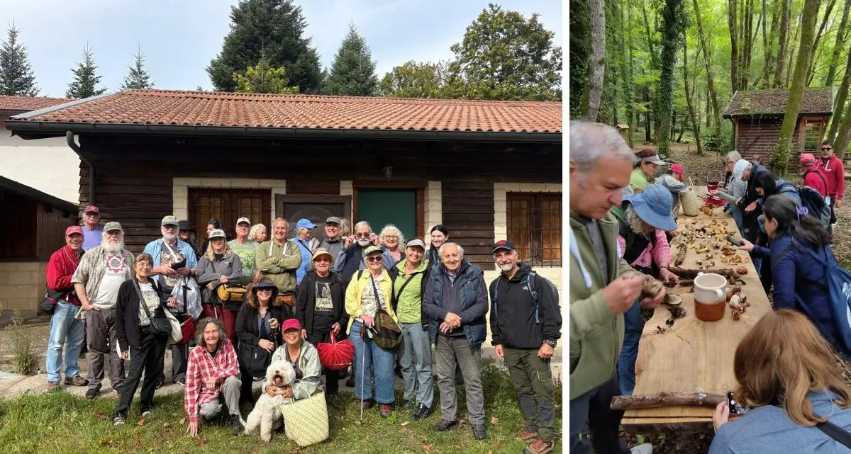 Dagli Stati Uniti alla Calabria per studiare i funghi, nelle Serre micologi ed esperti americani