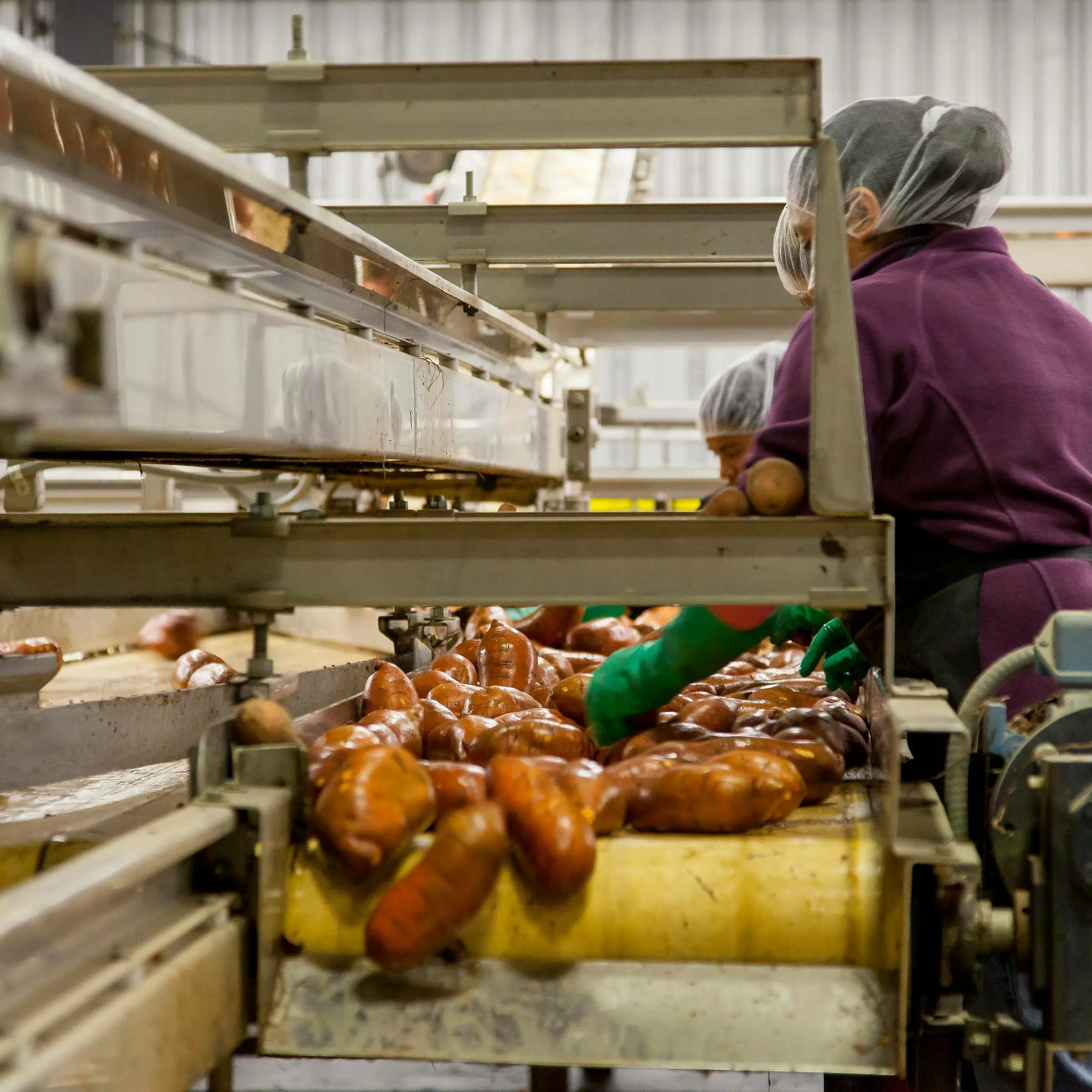 In Calabria il lavoro degli stranieri produce il 5,3% del Pil (e 1,9 miliardi): un motore silenzioso dell’economia regionale\n