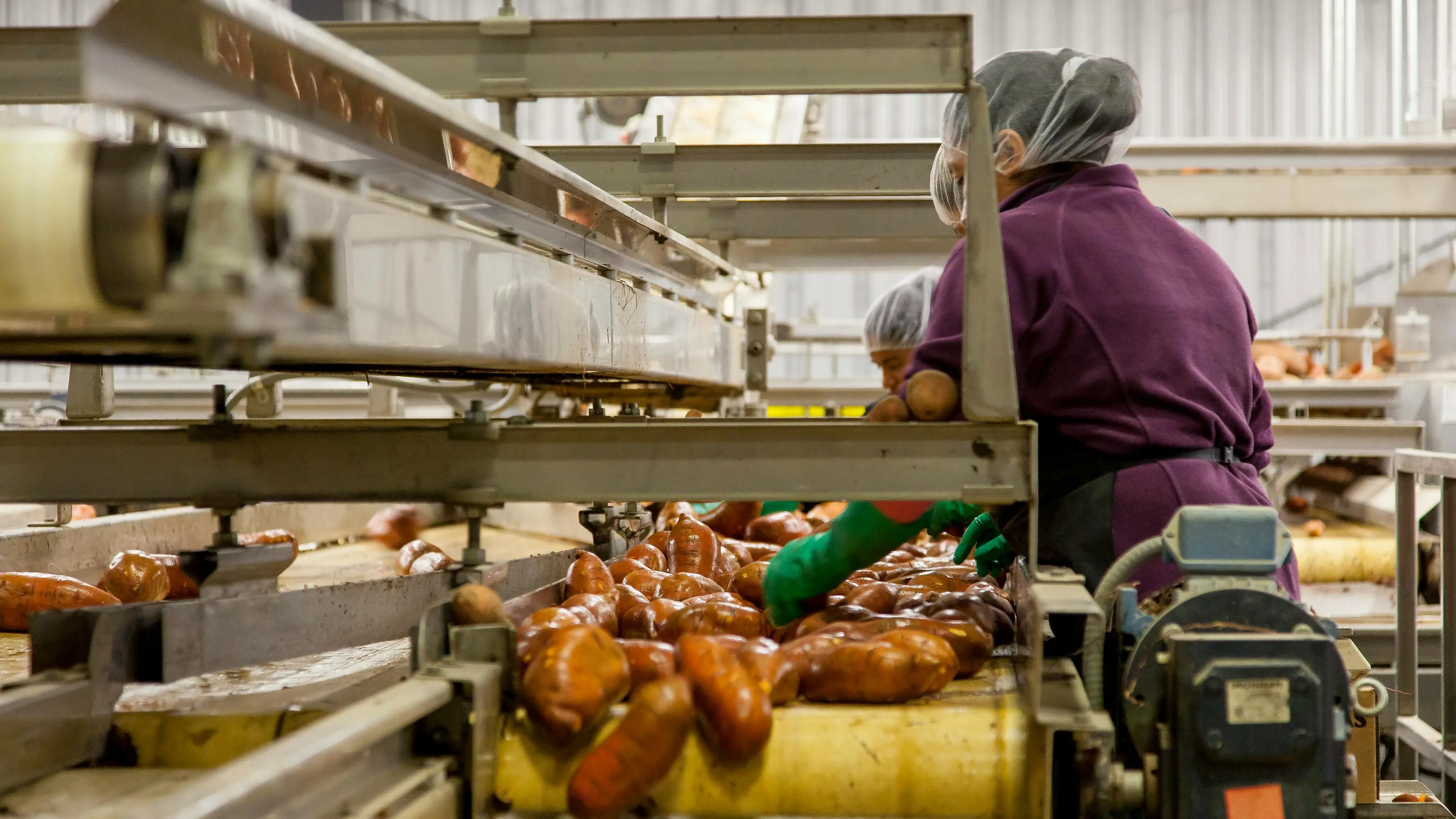 In Calabria il lavoro degli stranieri produce il 5,3% del Pil (e 1,9 miliardi): un motore silenzioso dell’economia regionale\n