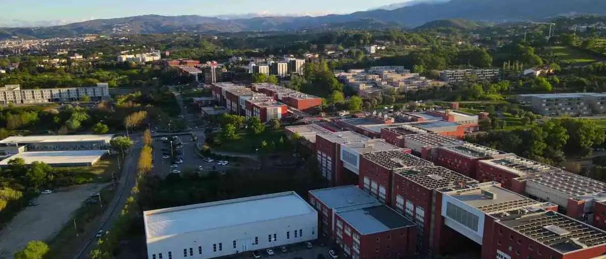 L’Unical cresce nel ranking di Stanford: 89\u00A0docenti tra i migliori scienziati al mondo, 14 in più rispetto al 2024\n