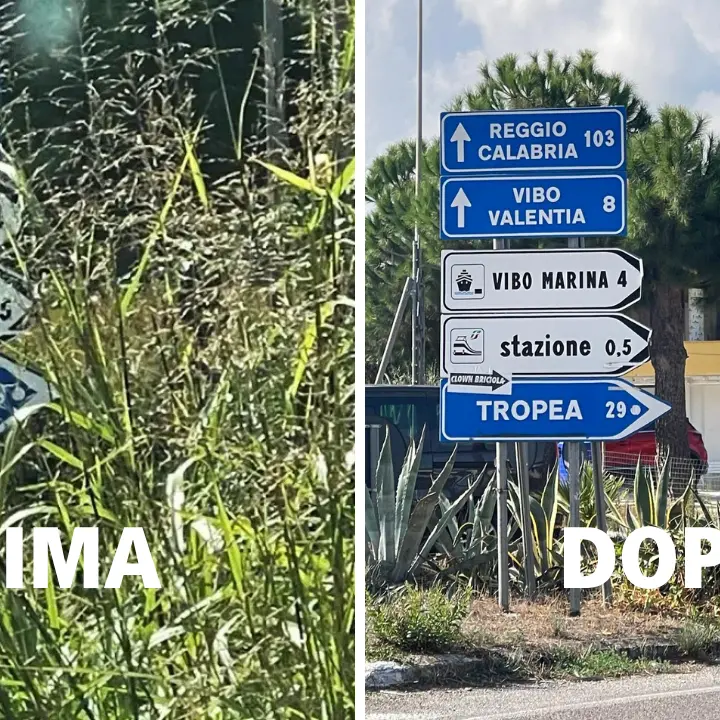 A Vibo Marina Statale 18 come una giungla:\u00A0tagliate le erbacce\u00A0dopo la denuncia de Il Vibonese\n