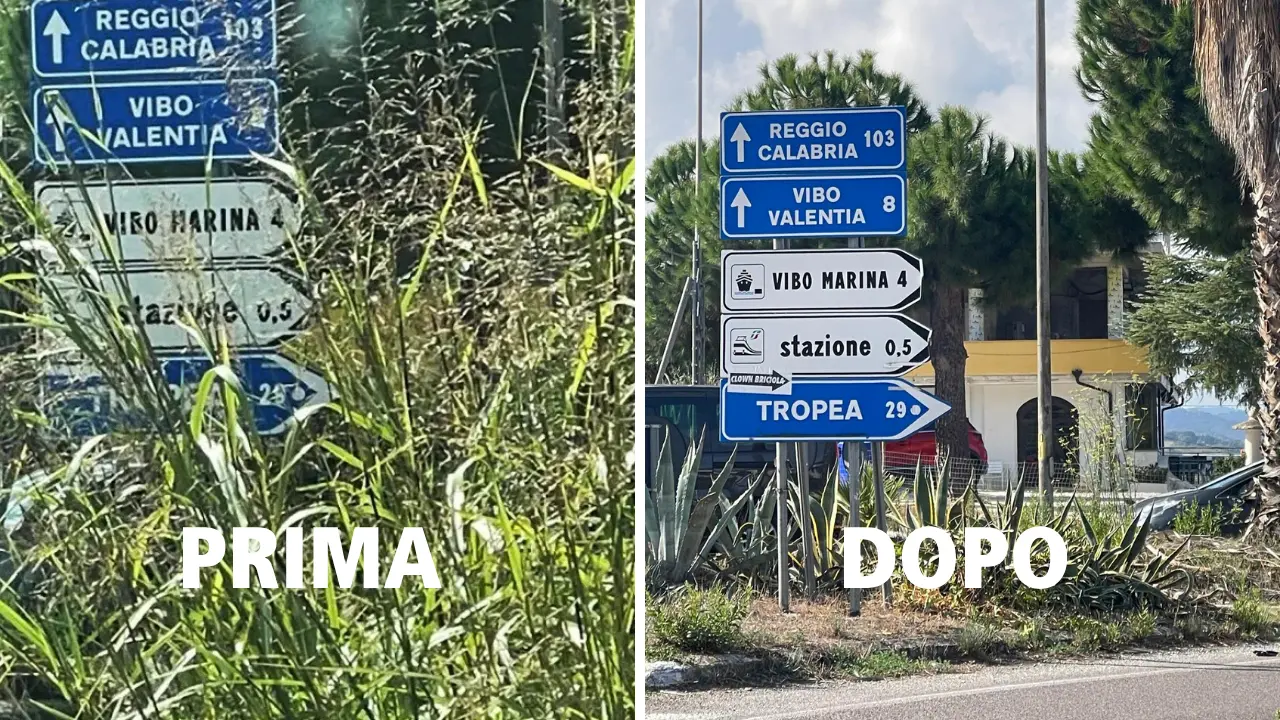 A Vibo Marina Statale 18 come una giungla:\u00A0tagliate le erbacce\u00A0dopo la denuncia de Il Vibonese\n