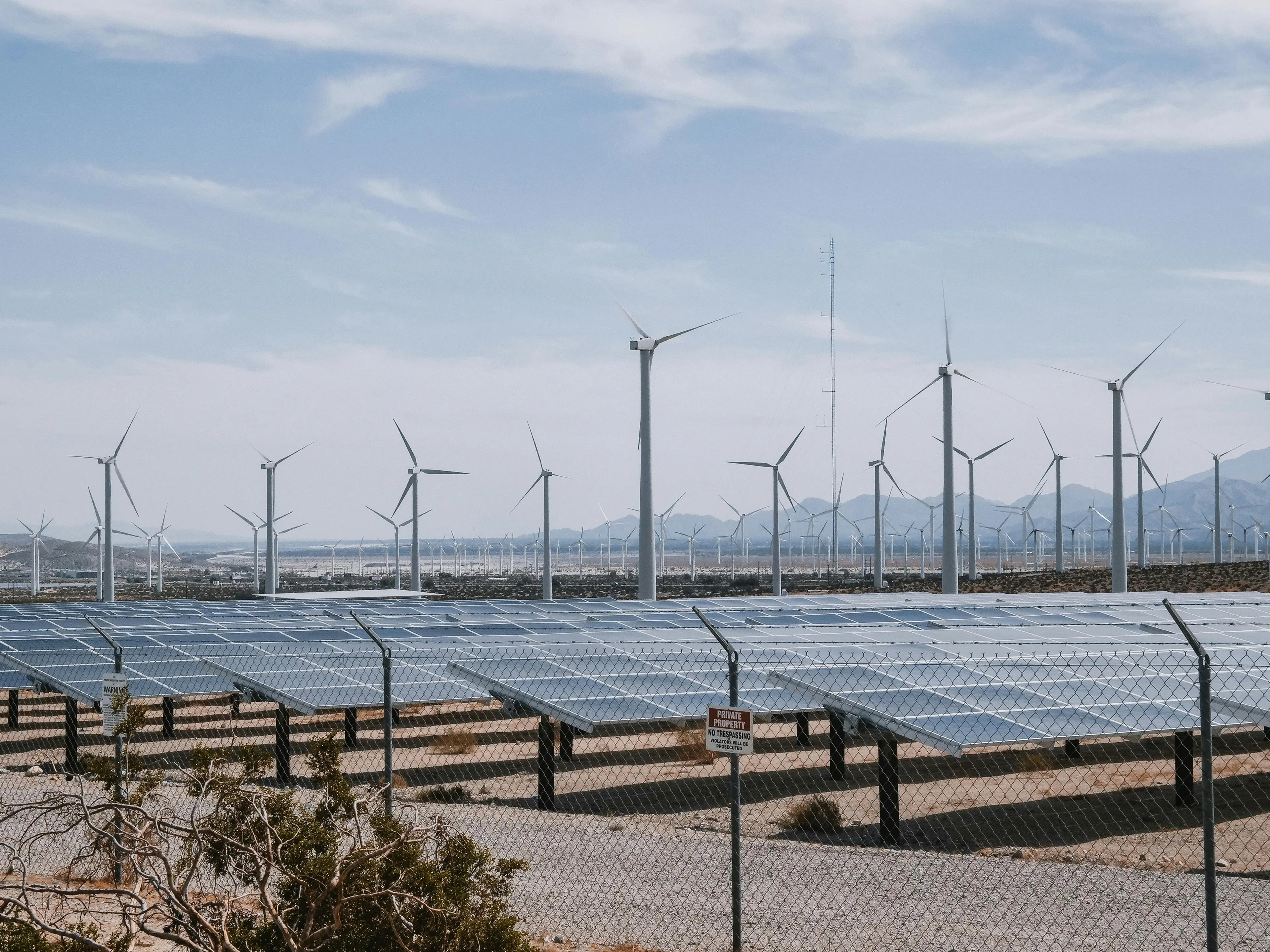 Lavoratori green introvabili: nel 2024 persi 2 milioni di posti tra industria e servizi: l’allarme di\u00A0Confartigianato\n