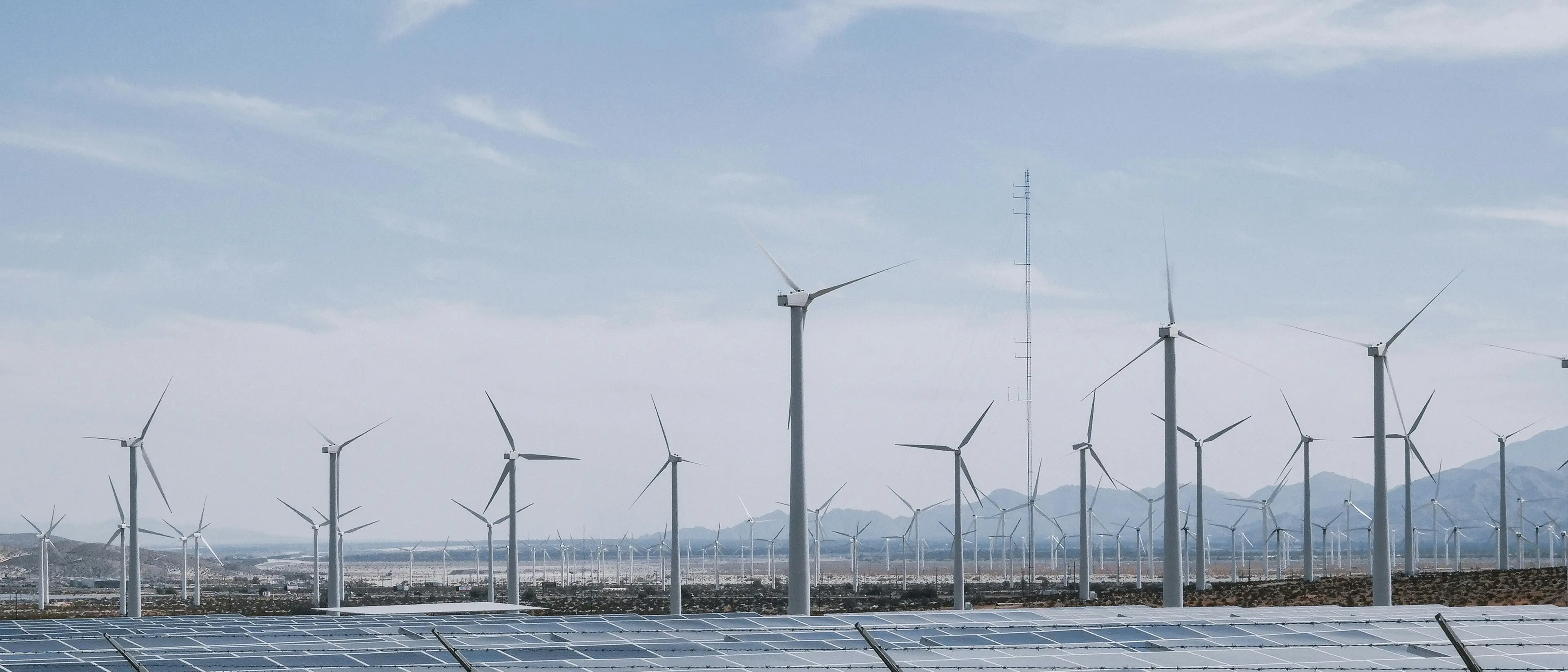 Lavoratori green introvabili: nel 2024 persi 2 milioni di posti tra industria e servizi: l’allarme di\u00A0Confartigianato\n