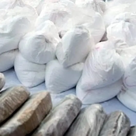 Maxi operazione antidroga tra Milano e la Locride: sgominata rete 'ndrangheta-camorra da 18 milioni di euro\n