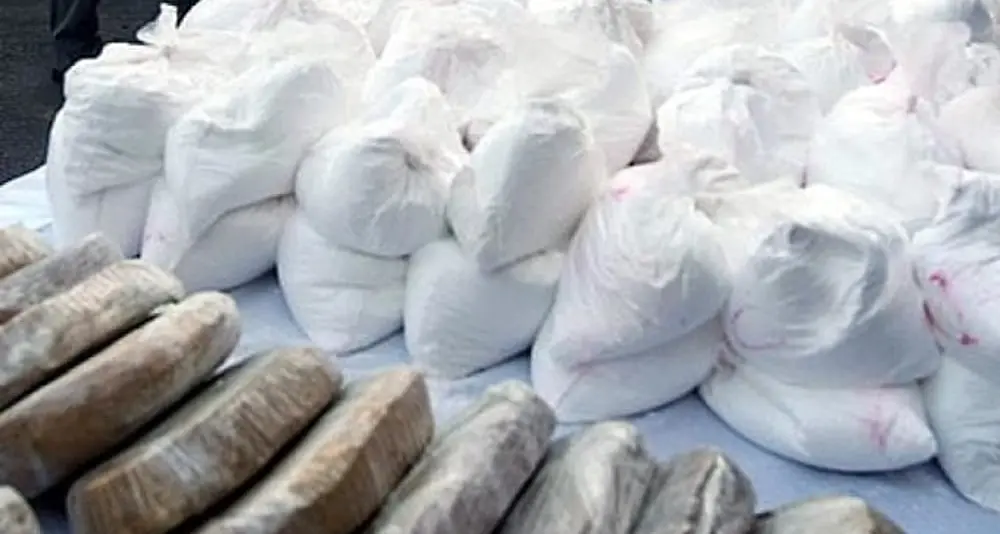 Maxi operazione antidroga tra Milano e la Locride: sgominata rete 'ndrangheta-camorra da 18 milioni di euro\n