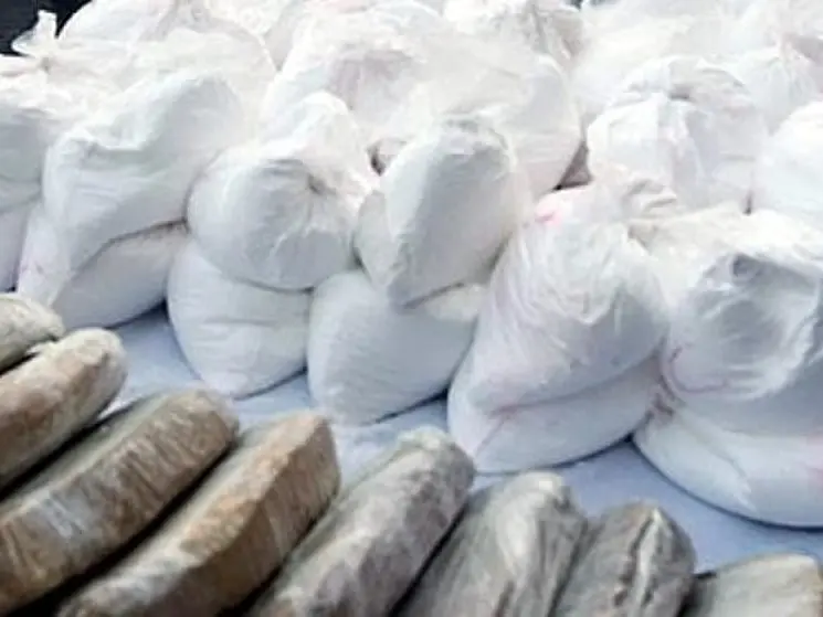 Maxi operazione antidroga tra Milano e la Locride: sgominata rete 'ndrangheta-camorra da 18 milioni di euro