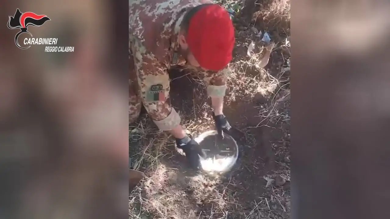 Oltre trenta chili di droga tra hashish e cocaina sotterrati in un terreno: un arresto nella Locride\n