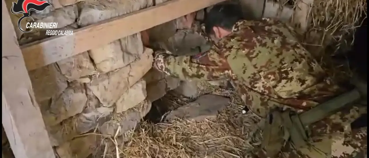 Platì, scoperta piantagione di marijuana in un bunker sotterraneo\n