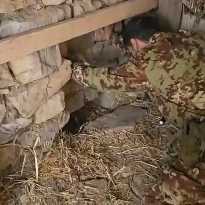 Platì, scoperta una piantagione di marijuana in un bunker sotterraneo: denunciato un 67enne\n