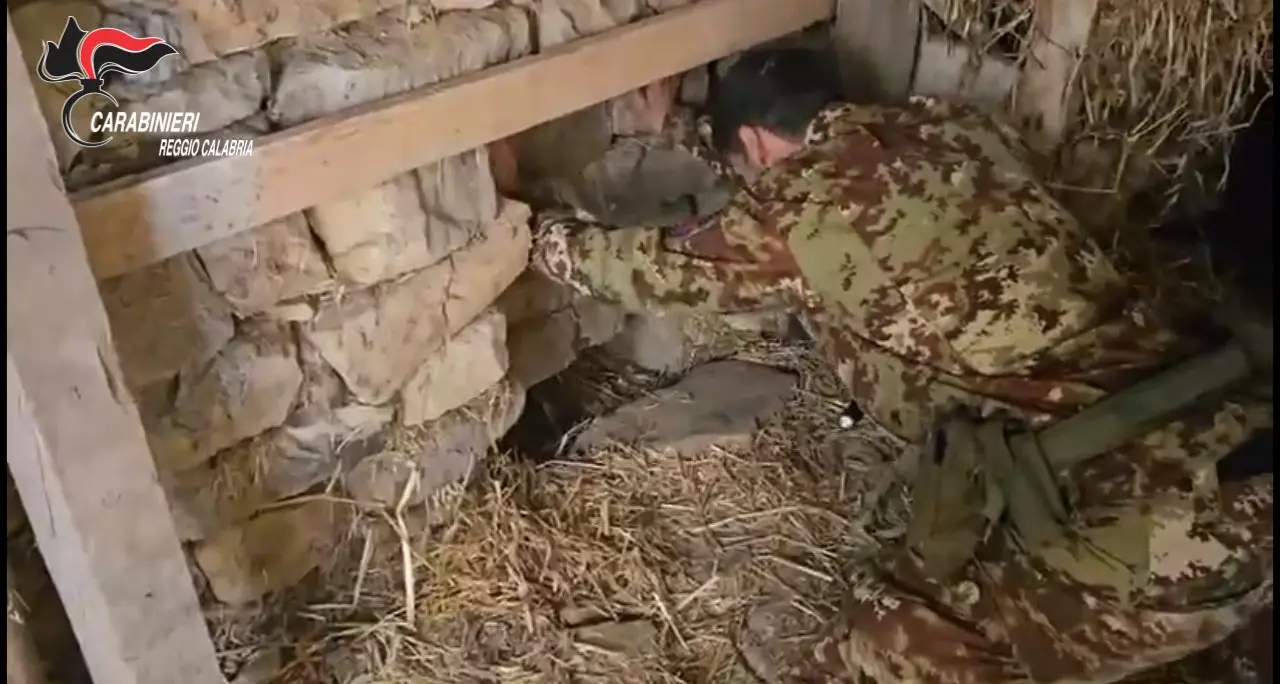 Platì, scoperta una piantagione di marijuana in un bunker sotterraneo: denunciato un 67enne\n