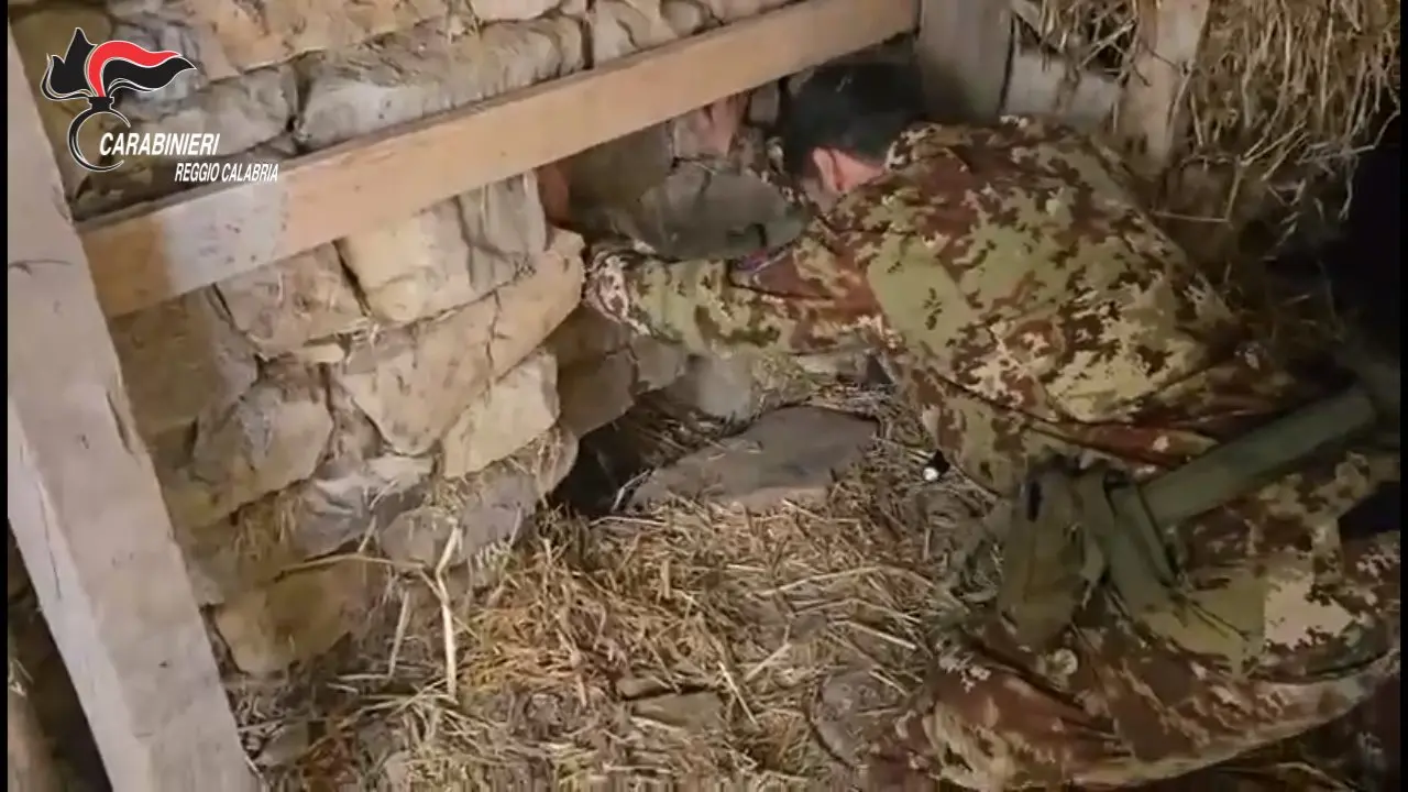 Platì, scoperta una piantagione di marijuana in un bunker sotterraneo: denunciato un 67enne\n