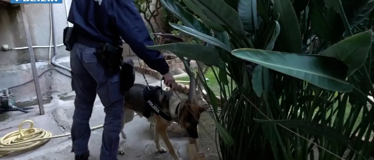 Duplice infanticidio a Reggio Calabria: arrestata Sara Genovese, 25 anni. Una tragedia che si ripete e solleva interrogativi inquietanti