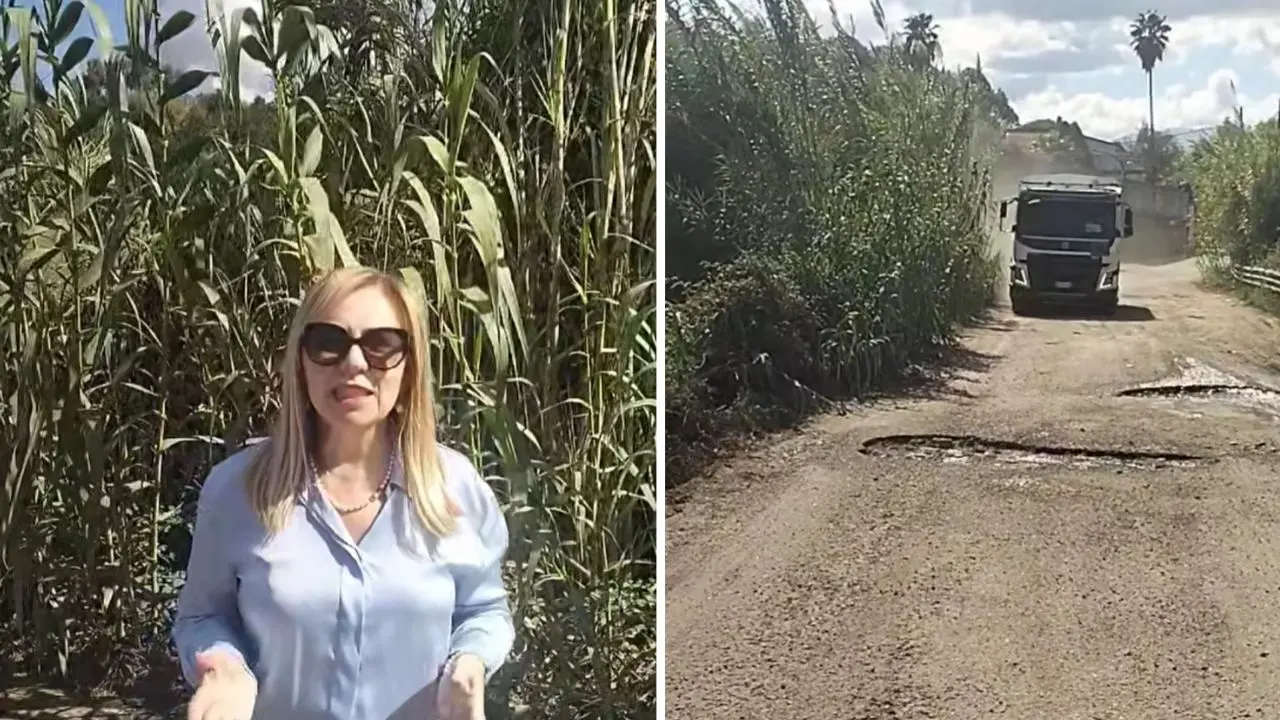 Gioia Tauro, strada di località Pontevecchio in condizioni fatiscenti. Scarcella: «Chiamerò ai danni la Città Metropolitana»