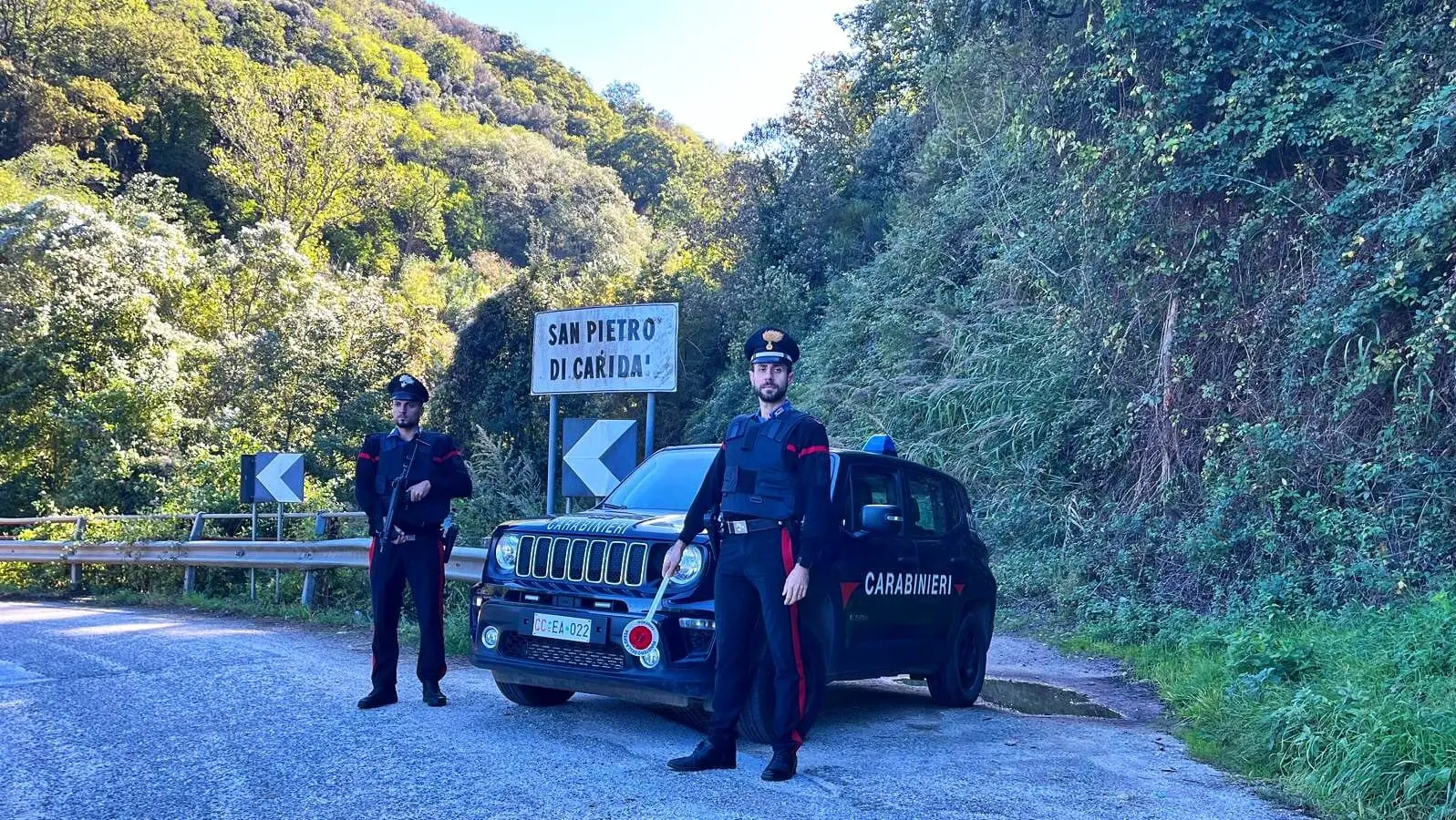 Scoperta piantagione di marijuana in un’area impervia nel reggino, quattro arresti