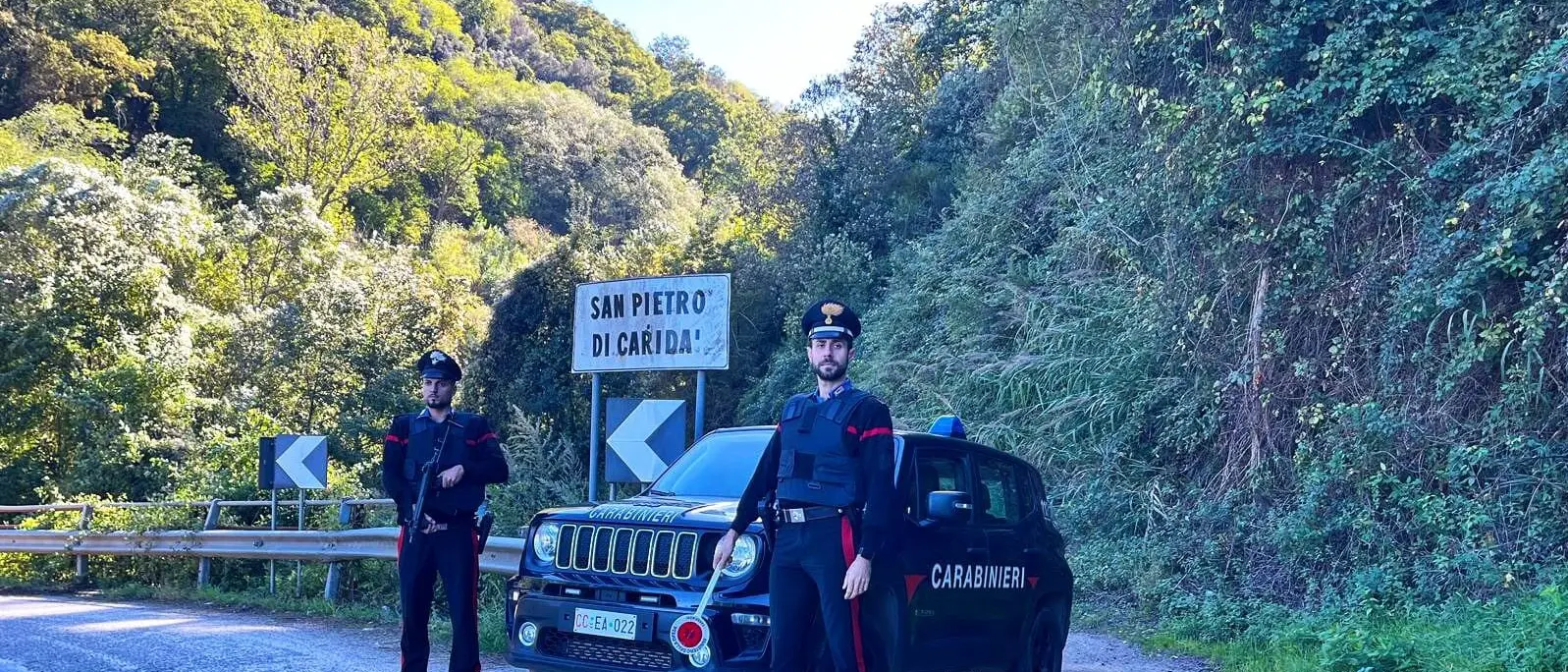 Scoperta piantagione di marijuana in un’area impervia nel reggino, quattro arresti