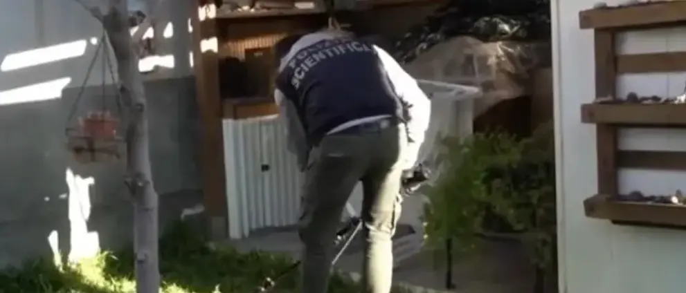 Neonati uccisi a Reggio, lo psichiatra: «Probabile che la madre soffrisse di depressione o psicosi post partum»