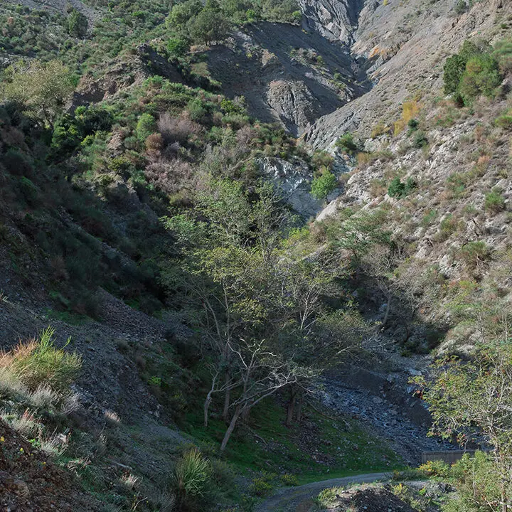 Il 12 ottobre nuova escursione dell'Associazione Gente in Aspromonte