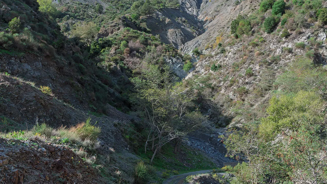 Il 12 ottobre nuova escursione dell'Associazione Gente in Aspromonte
