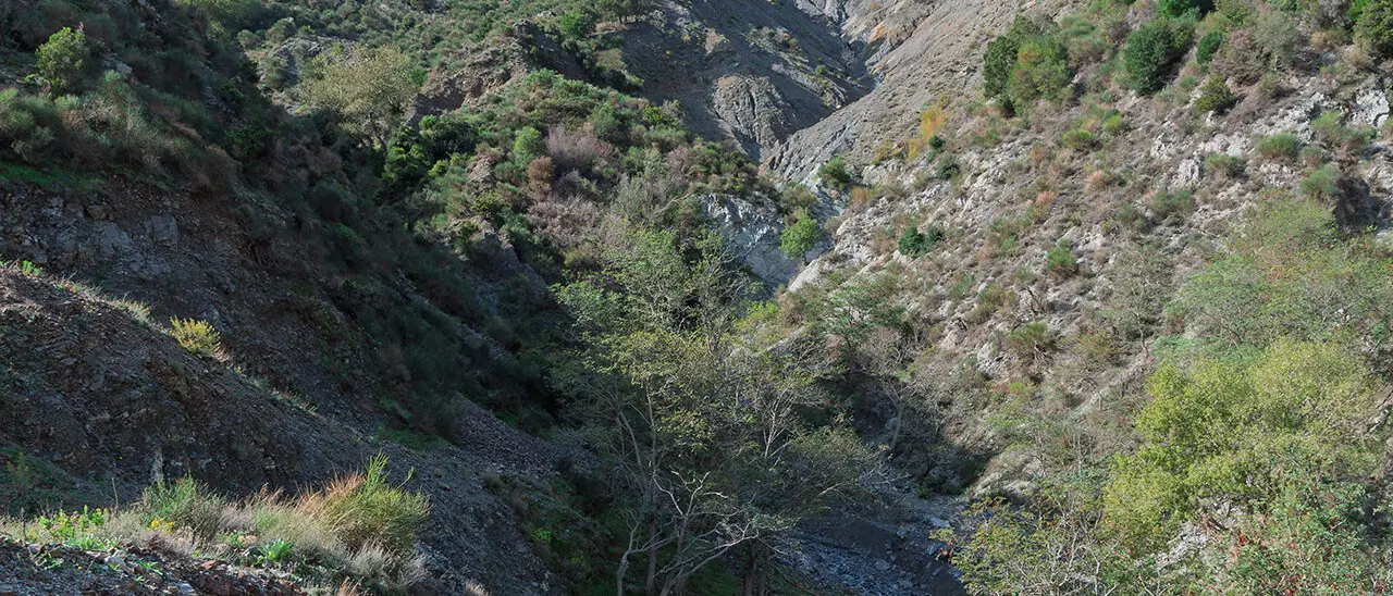 Il 12 ottobre nuova escursione dell'Associazione Gente in Aspromonte